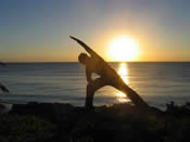 Prana Yoga College Teacher Trainings