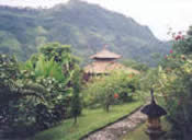 Teacher Training in Bali 2009