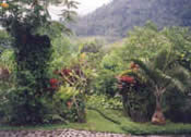 Teacher Training in Bali 2009