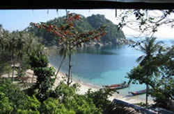 Yoga Teacher Training in Bali