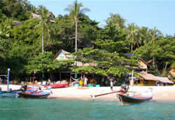 Hatha Yoga Teacher Training in Bali